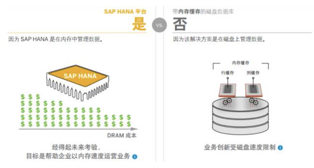 SAP HANAN數據存屬系統