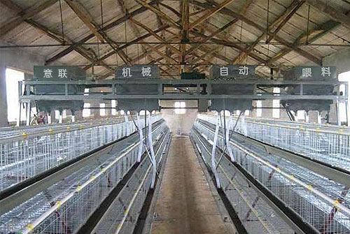 SAP畜牧加工案例 | 意聯機械