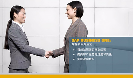 SAP Business One庫存和業務運營